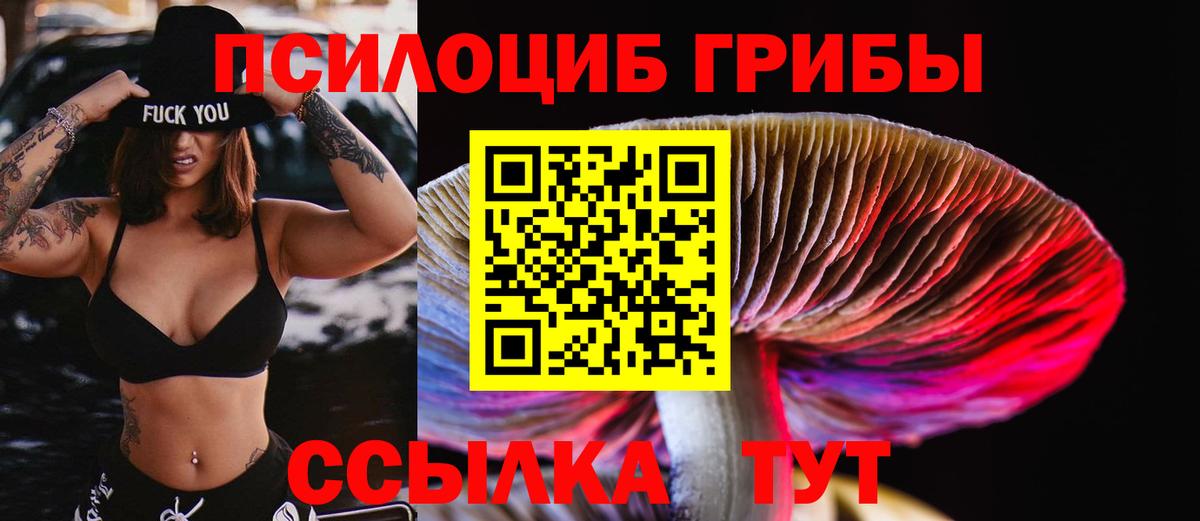 Нижнеудинск  Галлюциногенные грибы Psilocybine cubensis  Псилоцибиновые грибы Magic Shrooms  Вход с VPN 