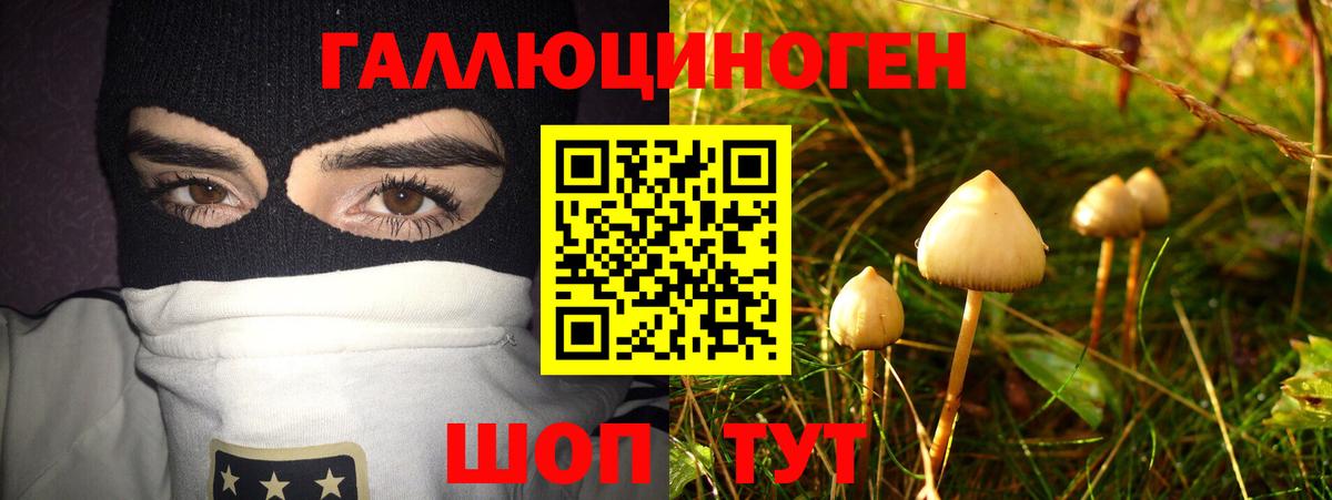 Галлюциногенные грибы Magic Shrooms Нижнеудинск