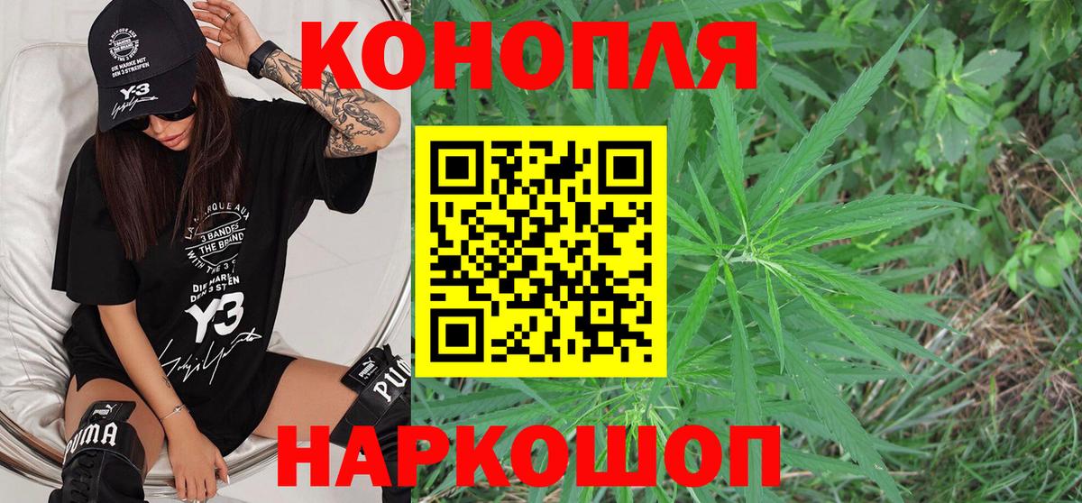 Каннабис сатива Нижнеудинск